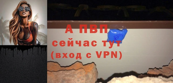 крисы Баксан