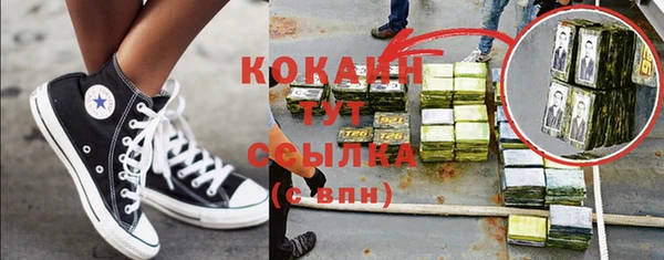 крисы Баксан