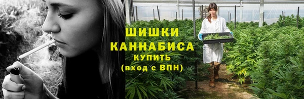 крисы Баксан