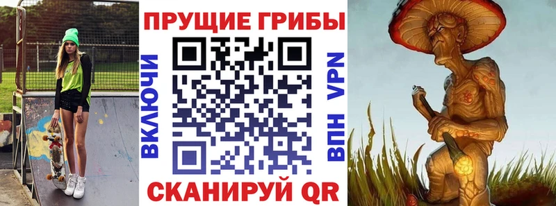hydra рабочий сайт Суворов Псилоцибиновые грибы Psilocybine cubensis